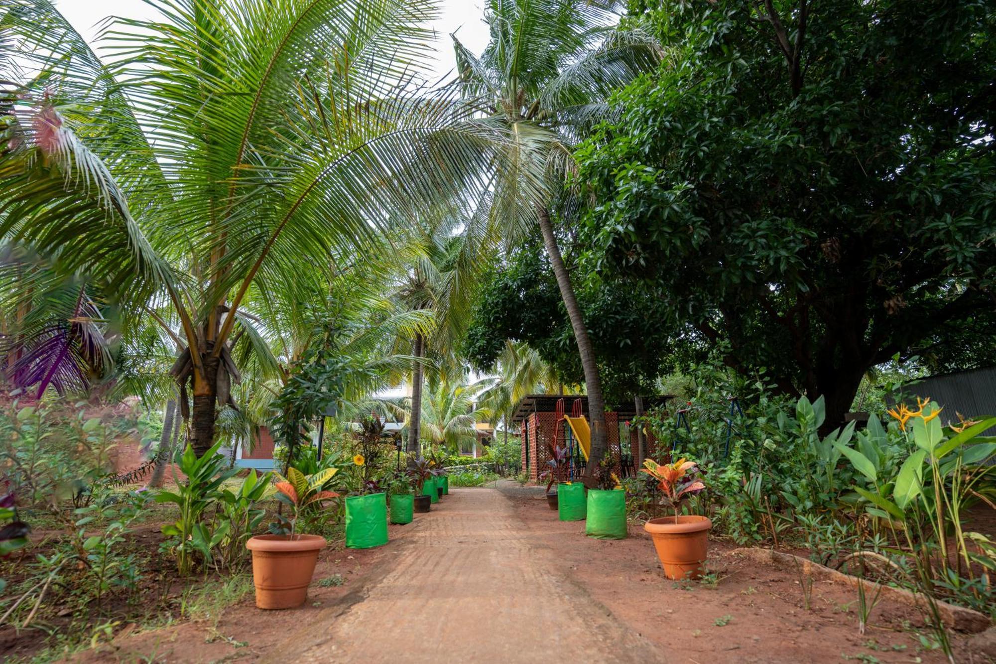 Claynest Resorts Kuttālam Esterno foto